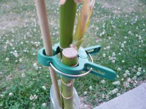 Clip Épingle pour arbre et tuteur ( X 6 )